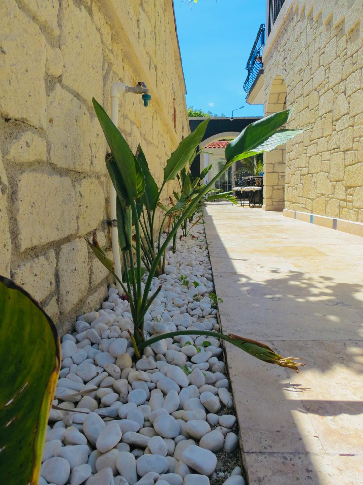 Fedora Otel Alaçatı Exterior photo